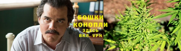 ПСИЛОЦИБИНОВЫЕ ГРИБЫ Сатка