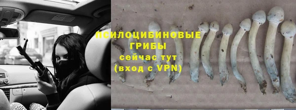 Альфа ПВП Саяногорск