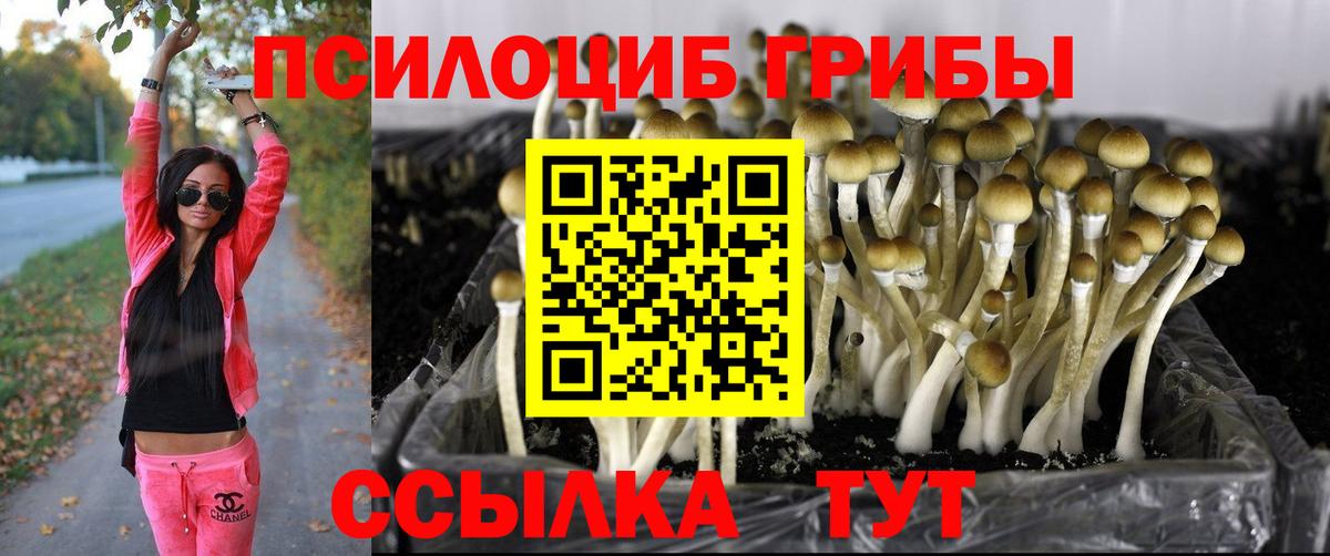 Галлюциногенные грибы мухоморы  Вход с VPN  Ефремов 