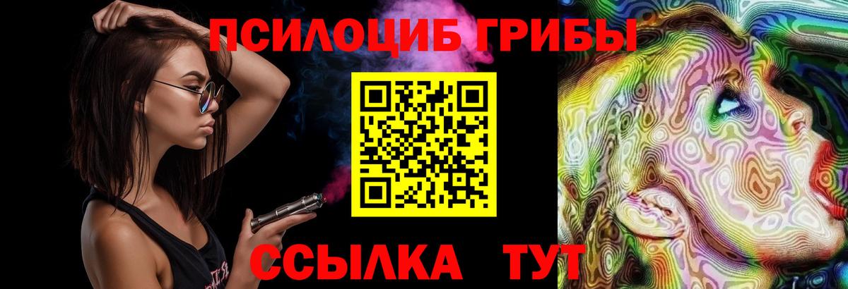Псилоцибиновые грибы прущие грибы Ефремов